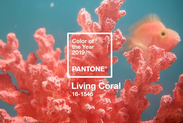 Living Coral is Pantone's Color of the Year for 2019